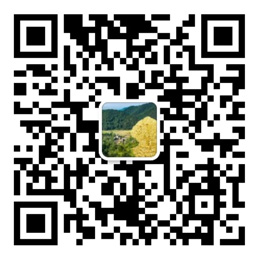 彩神v8